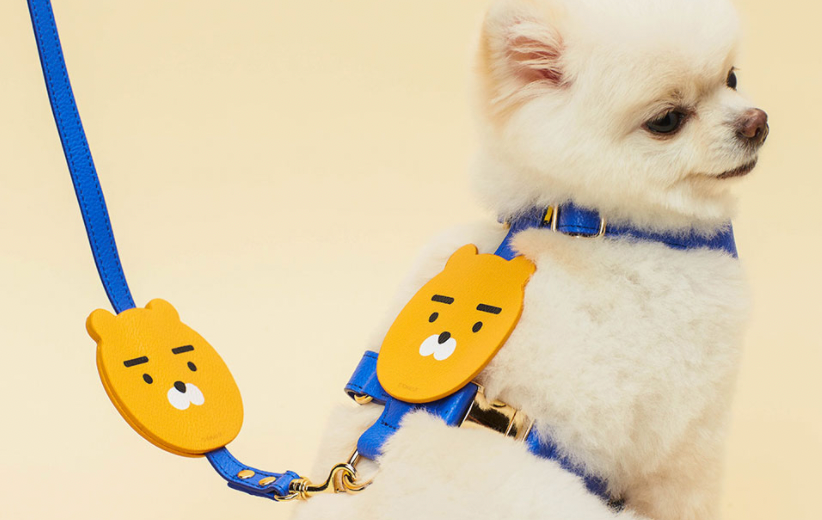 縮圖：Kakao Friends Ryan / Apeach Kakao Friends Pet Face Leash 寵物皮革狗繩