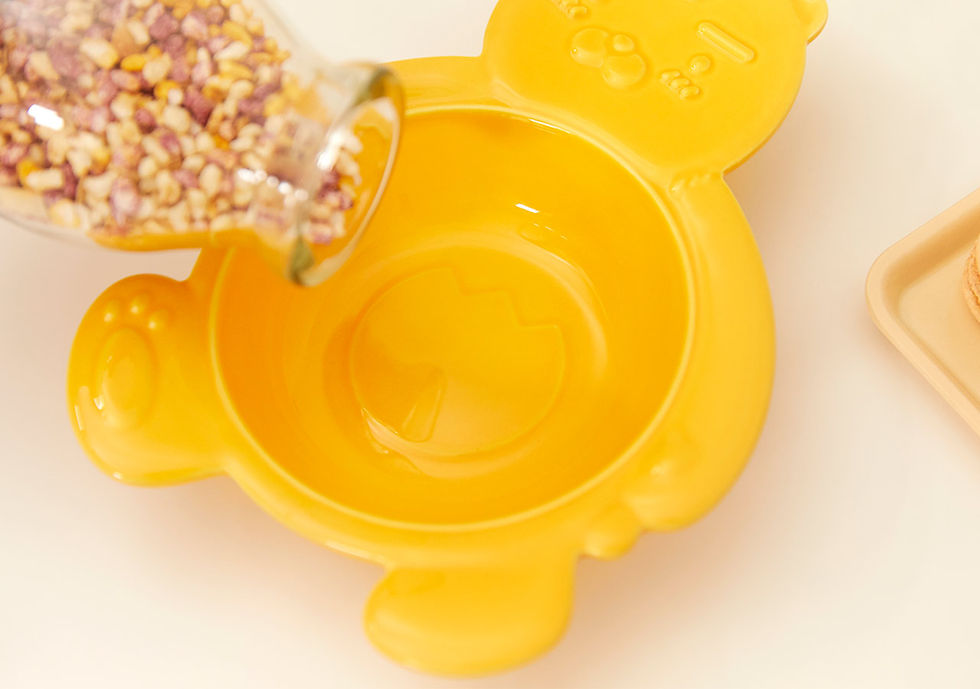 縮圖：Kakao Friends Ryan Cereal Bowl 早餐碗