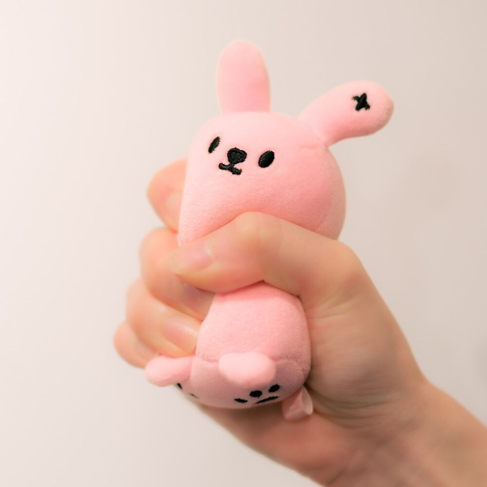 縮圖：Muzik Tiger Porumee  Stress Ball 免仔壓力波波