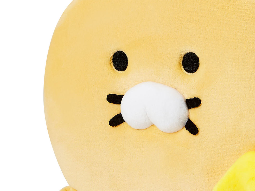 縮圖：Kakao Friends 春植 Storage Pocket 可掛式儲物袋