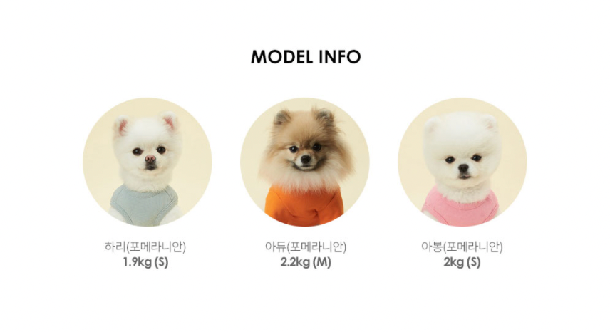 縮圖：Kakao Friends Ryan / Apeach Kakao Friends Pet Playing Ball 寵物玩具球