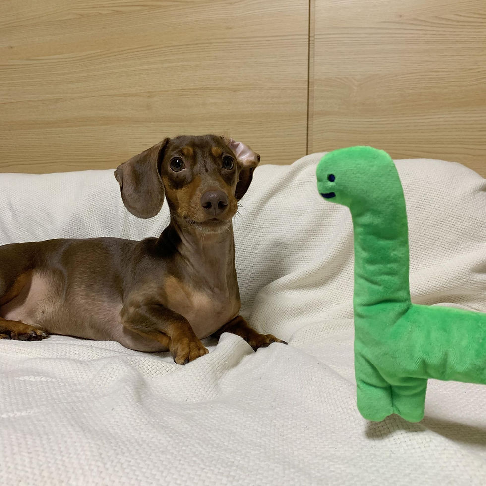 縮圖：Joguman Studio Brachio Doggy Toy 小腕龍寵物玩具