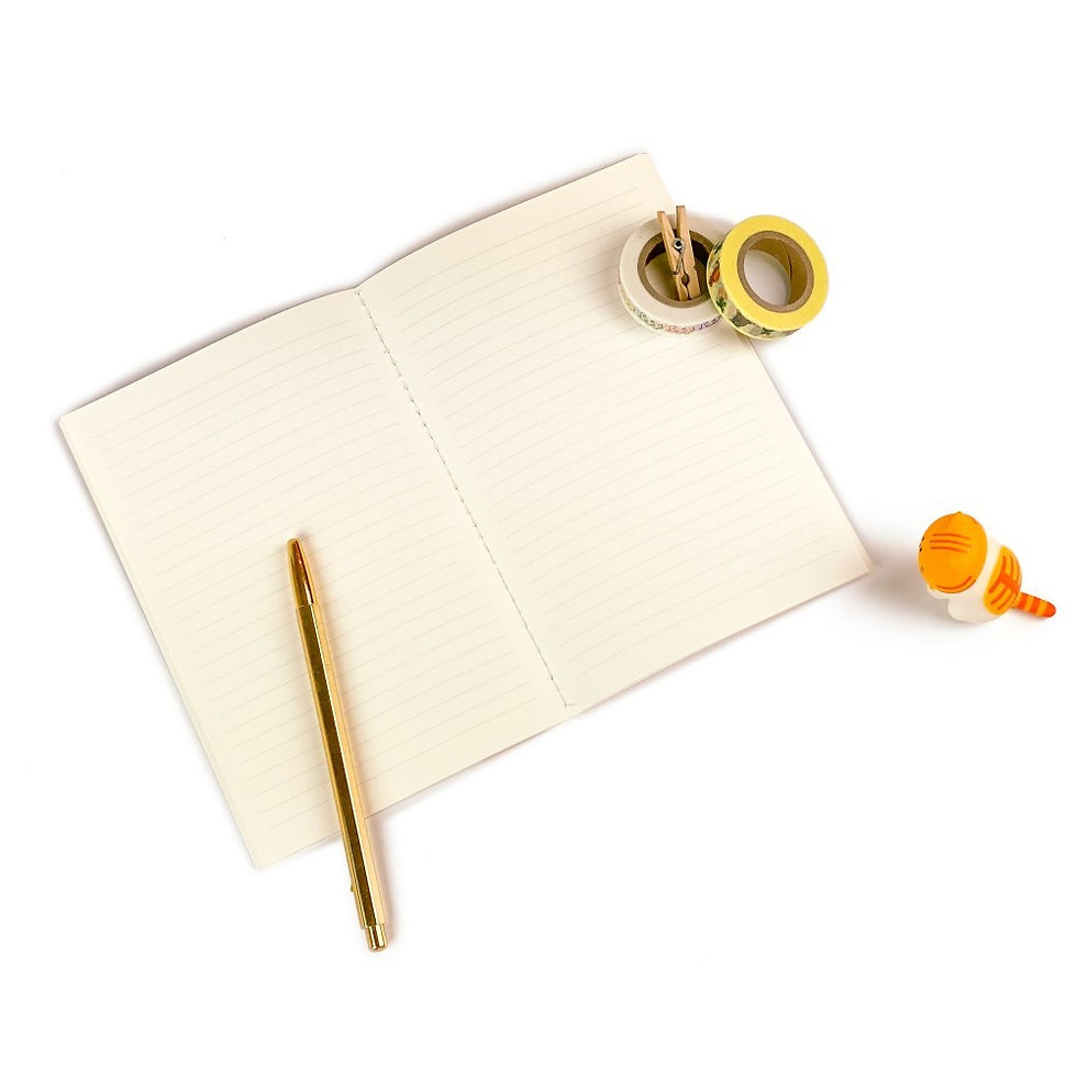 縮圖：Muzik Tiger Red Tiger Sewing Notebook 記事本