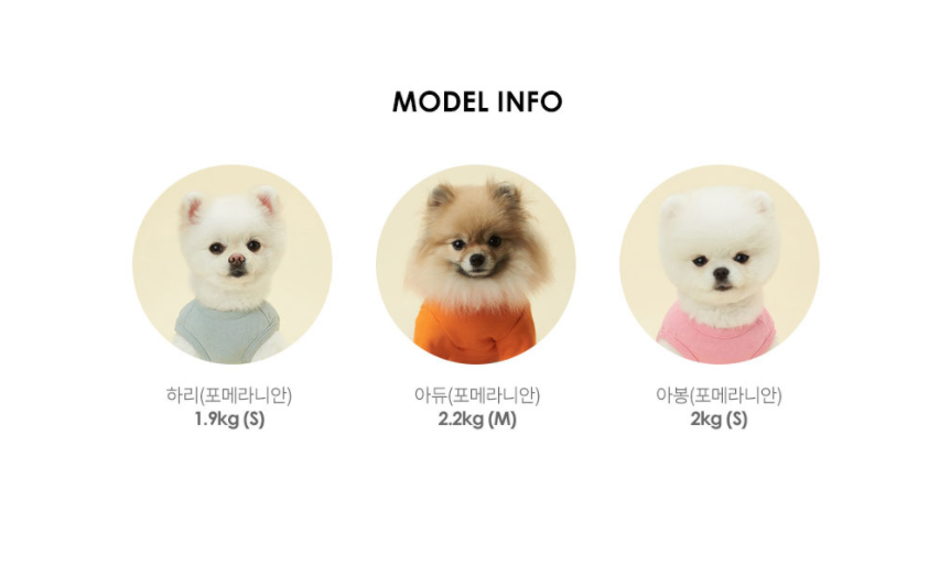 縮圖：Kakao Friends Ryan / Apeach Kakao Friends Pet Face Leash 寵物皮革狗繩