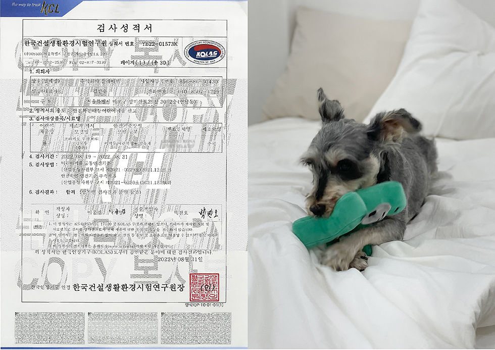 縮圖：Joguman Brachio Cartoon Plush Toy 腕龍BIUBIU公仔