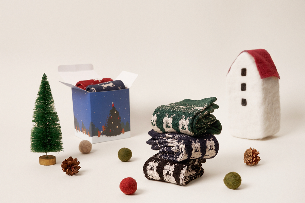 縮圖：Dinotaeng Nordic Socks Package Set 襪子套裝