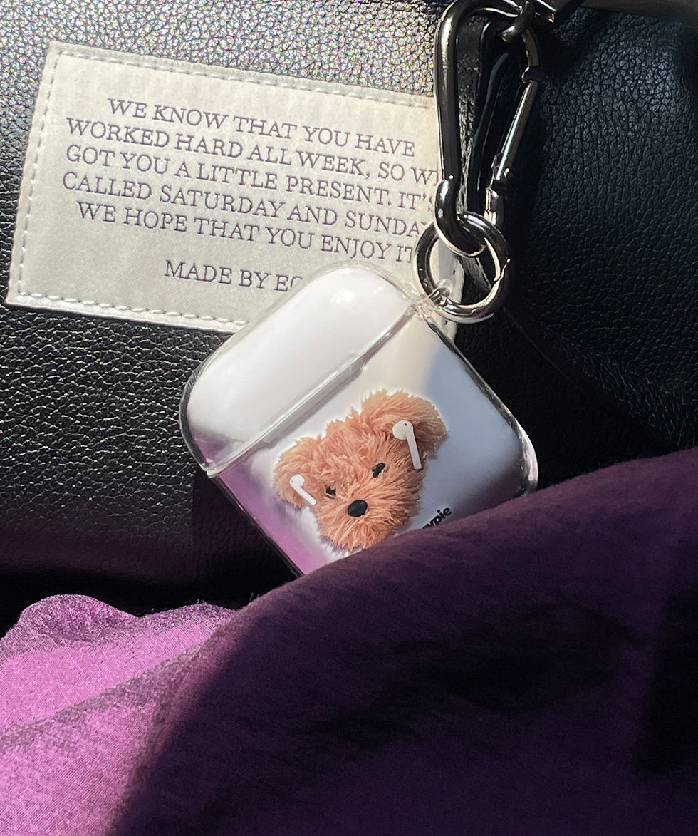 縮圖：Byemypie Lullu Puppy Airpods/Pro Case 耳機保護殼