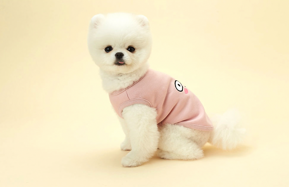 縮圖：Kakao Friends Ryan / Apeach Kakao Friends Pet Sleeveless 寵物可愛無袖T恤 （S/M/L）
