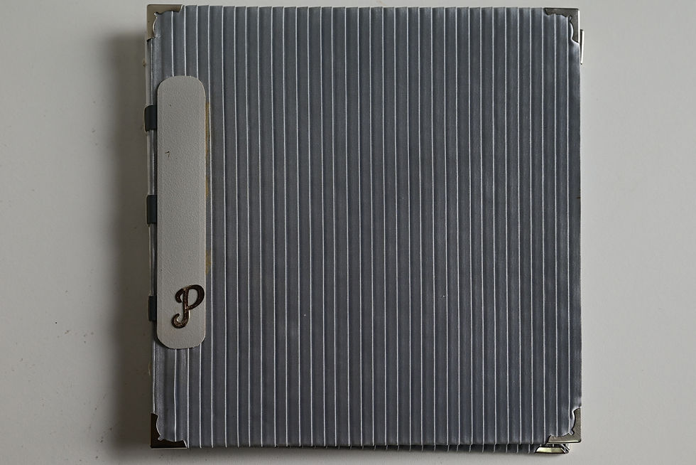 Miniatura: Prata, caderno de imagens. 2005