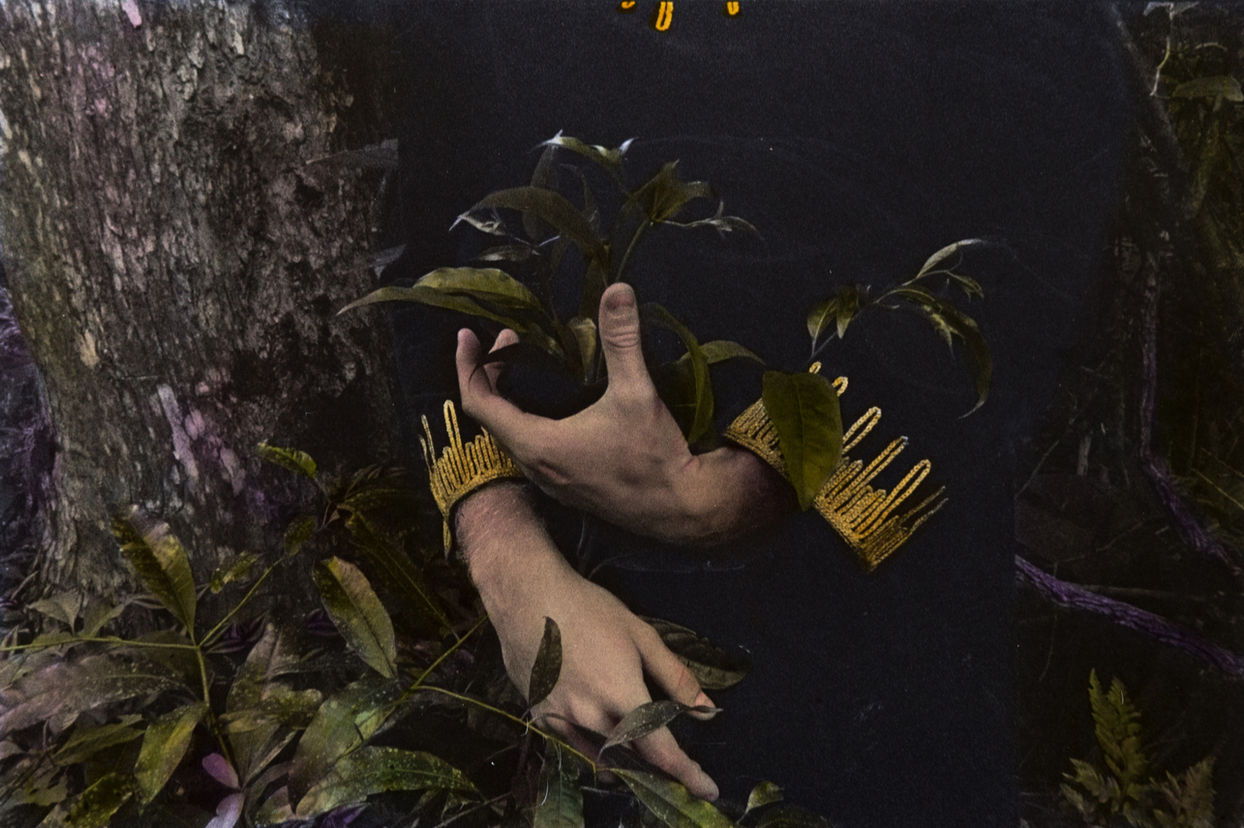 Todos esses novos adoradores do sol - Rochele Zandavalli (9).jpg