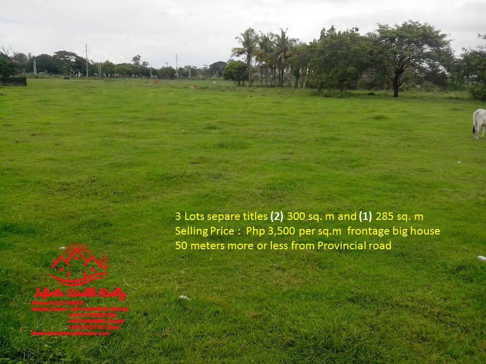 Thumbnail: For Sale: Five (5) Residential Lots in Lubao, Pampanga