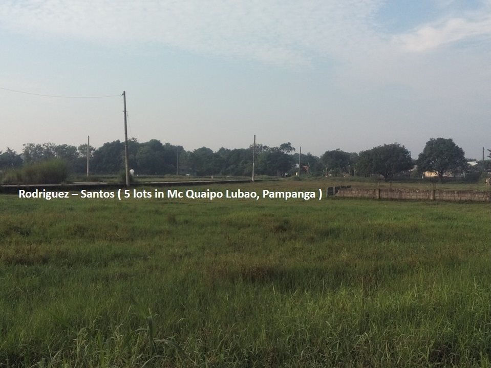 Thumbnail: For Sale: Five (5) Residential Lots in Lubao, Pampanga