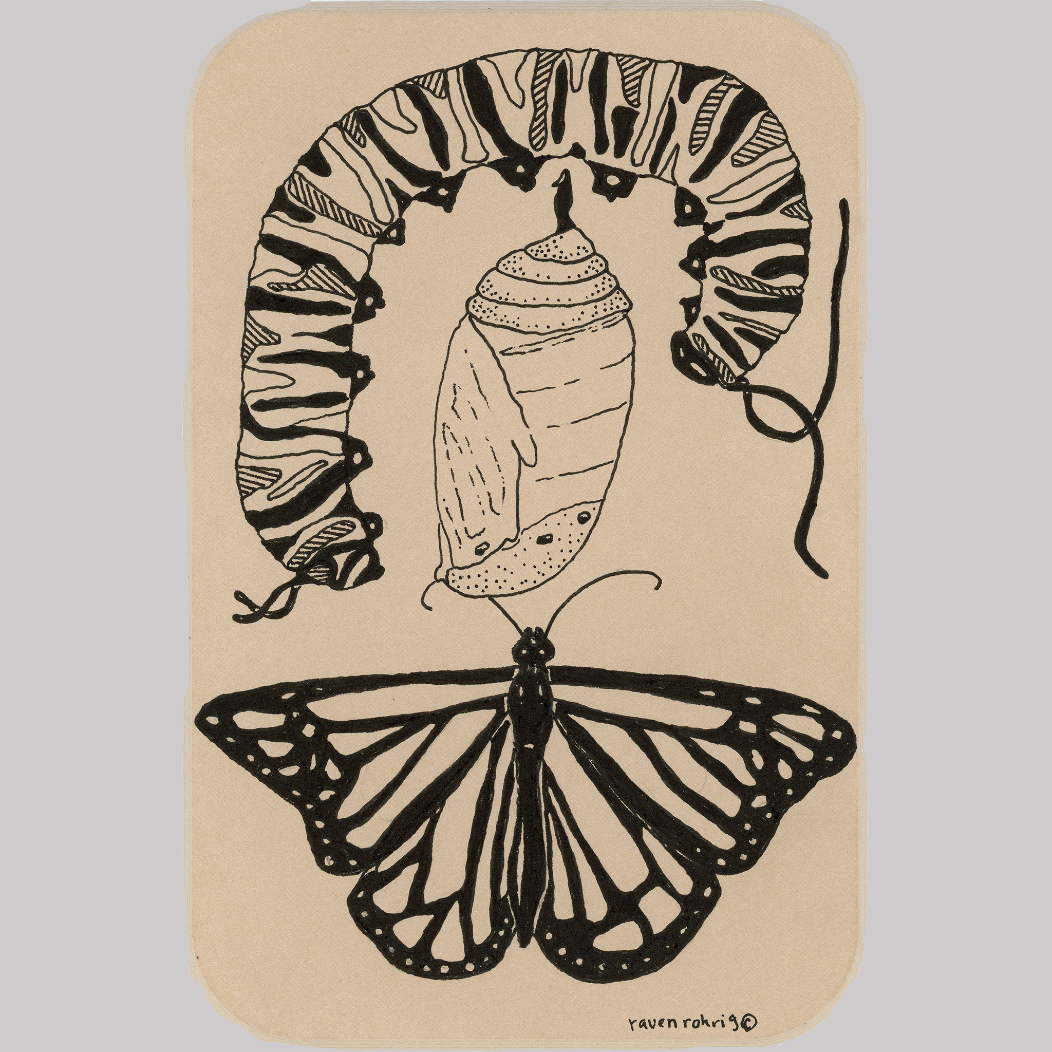 Leave the Milkweed