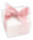 caixa de presente_edited.png