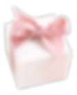 caixa de presente_edited.png