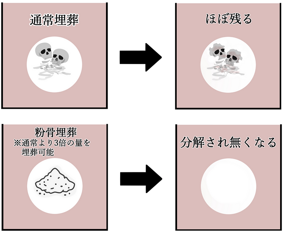 散骨による有益性.png