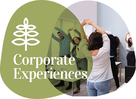 HSAsset 25corp-exp.png