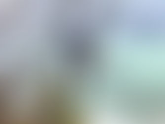 線路支障木をトロッコで伐採に行く|北海道の空師