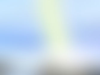 一緒に伐ってほしいのですが|伐採依頼はご近所お誘い合わせてどうぞ!(事例あり)