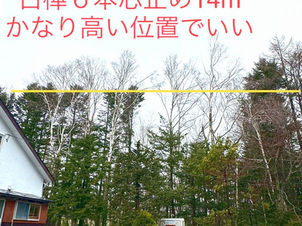 北海道北広島市|住宅そばの木々を芯止め伐採|空師の現場から