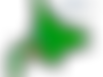 空師チームが出張伐採いたします|活動エリアのご案内