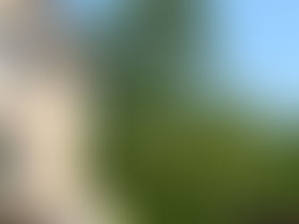 20mドロノキ伐採（洞爺湖町）北海道の空師の現場から