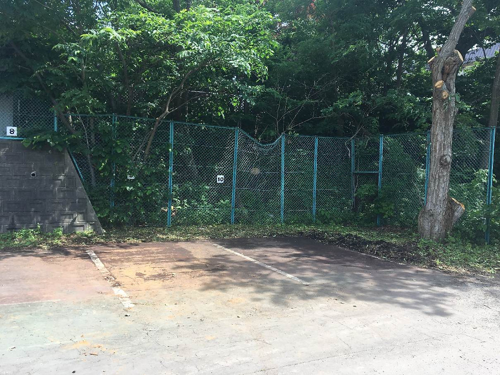 伐採後使えるようになった駐車場エリア