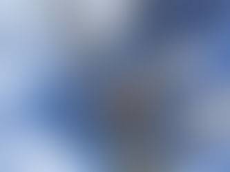 車庫に大接近!ケヤキの木を特殊伐採で伐る|壮瞥町の現場より