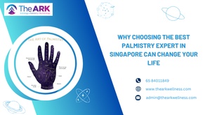 Best palmistry expert Singapore