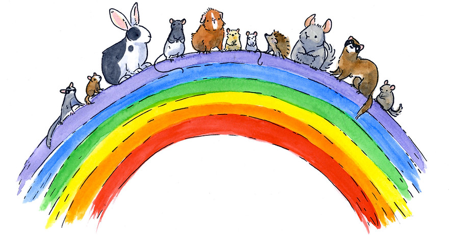 Rainbow-bridge-web.jpg