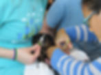 Highland Park Nail Trim Clinic