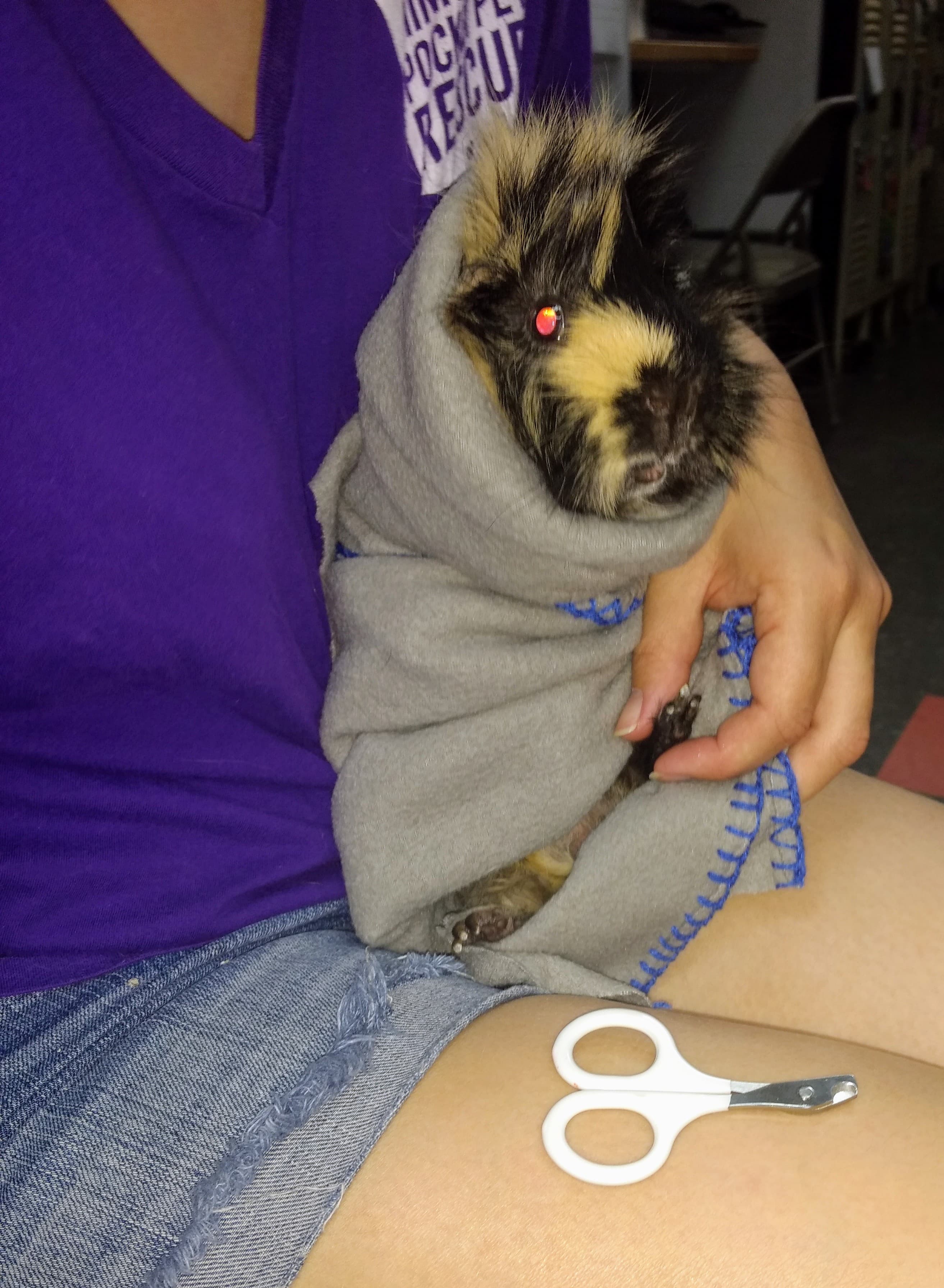 August Nail Trim Clinic