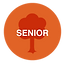 RT-senior-icon.png