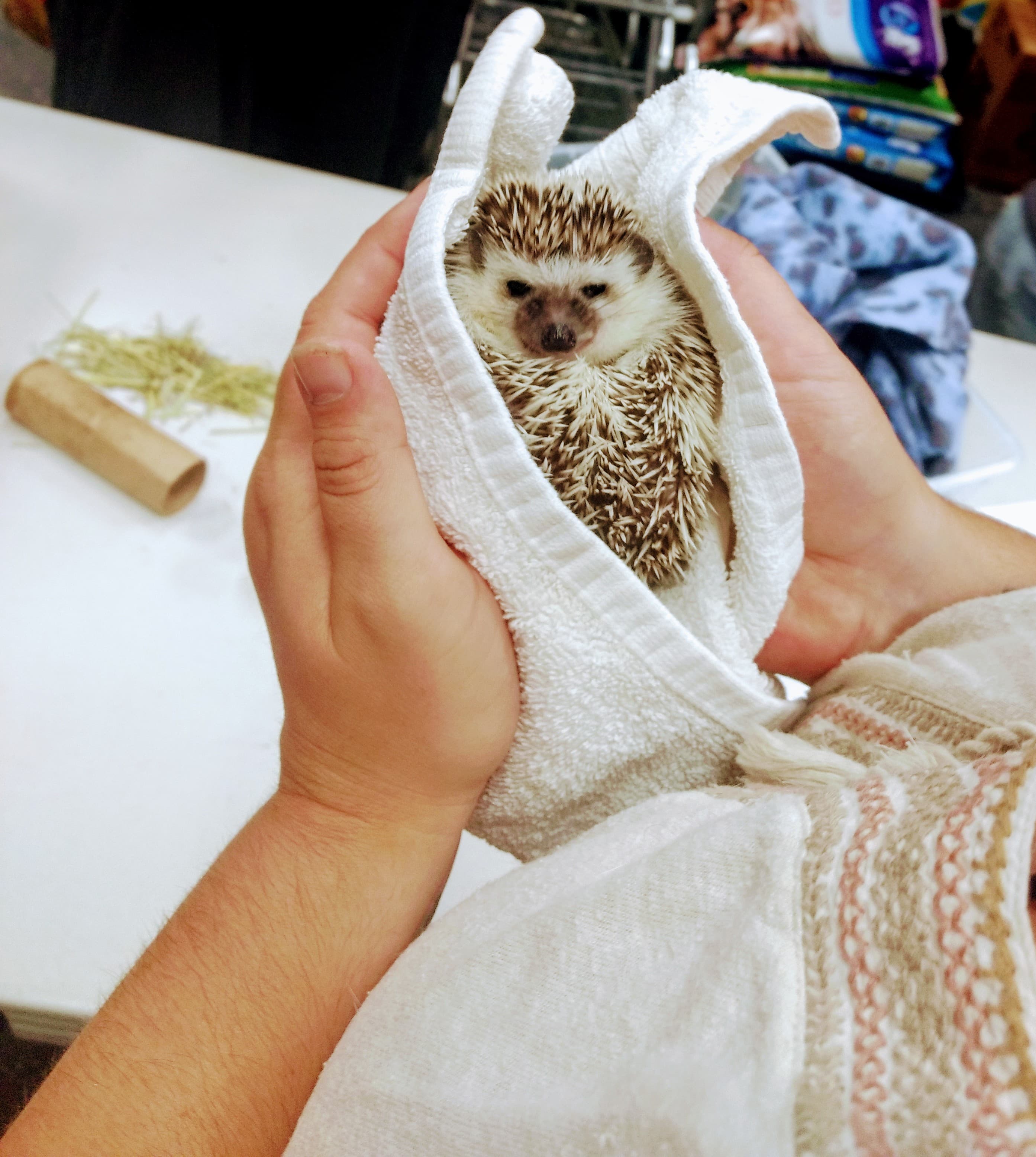 August Nail Trim Clinic