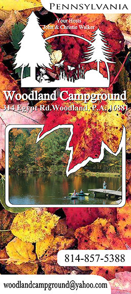 Woodland bro p1 2014 8in web.jpg