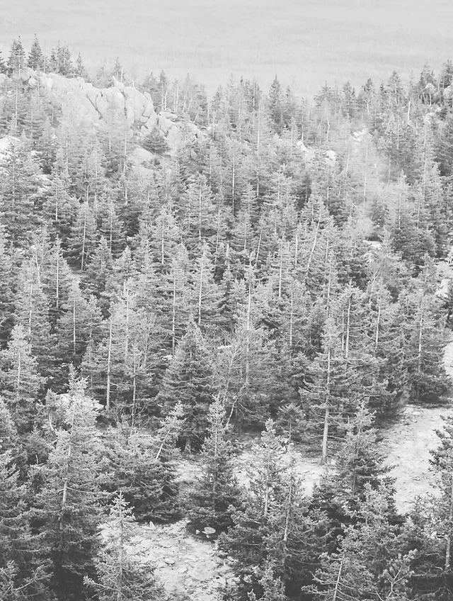 Baptist Camp Northfield United States