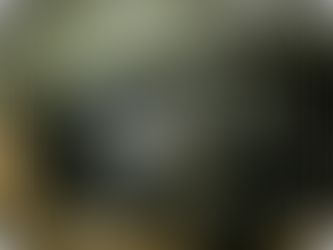 A large mother black bear, sleeping with her cub cuddled under her arm