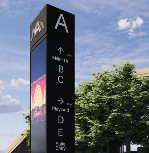 An upward shot of a towering tree