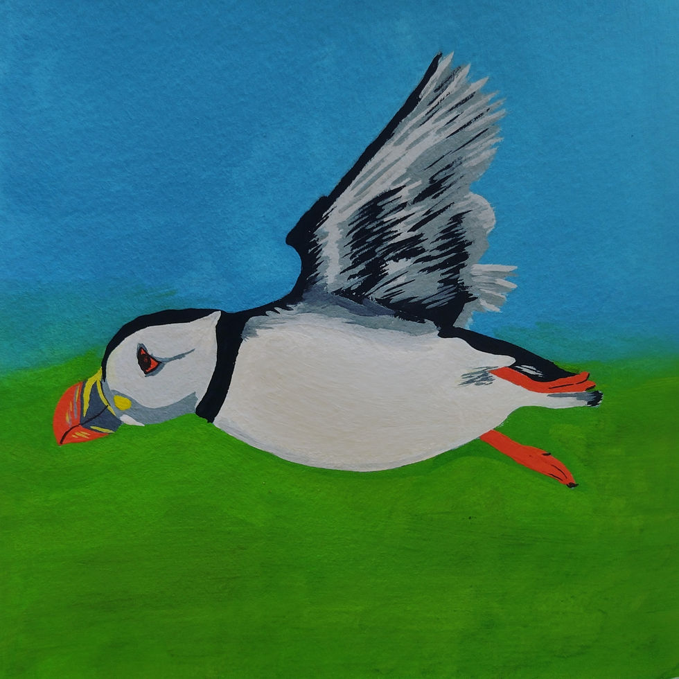 Puffin painting