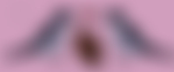 A week in Ferrara for SMBE 2023