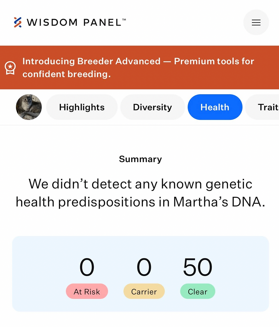 Screen Shot 2026-09-17 at 2.39.26 PM.png
