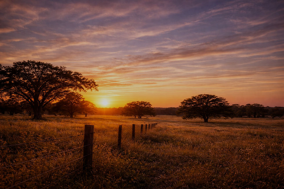 Legacy The Book_edited.jpg