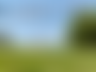 考えながら動けるって、最強