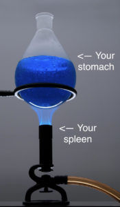 Why to avoid cold beverages, despite the summer heat