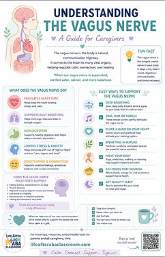 Understanding The Vagus Nerve Check List Free Printable