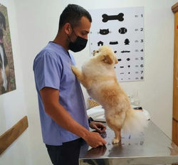 WhatsApp Image 2022-12-16 at 14.42.26 (1)