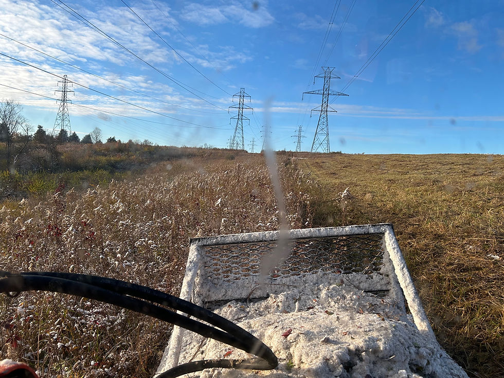 Mother nature and clear blue Skies brush Hogging