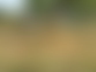 Hobby Farmers and their Livestock