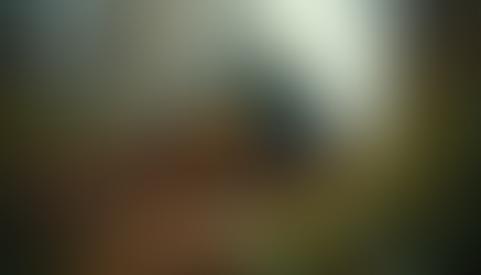 Exploring the Benefits of Forestry Mulching Services