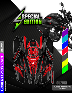 KIT GIXXER FI250-150 EN RESINA.PNG